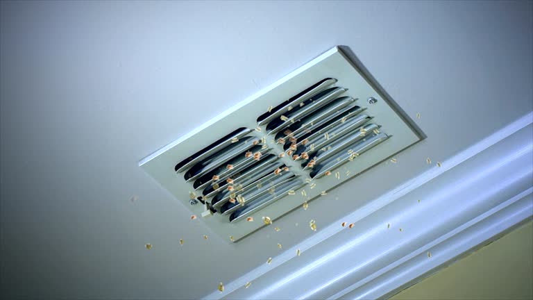 Best Ventilation Cleaning Services  in Elm Creek, NE