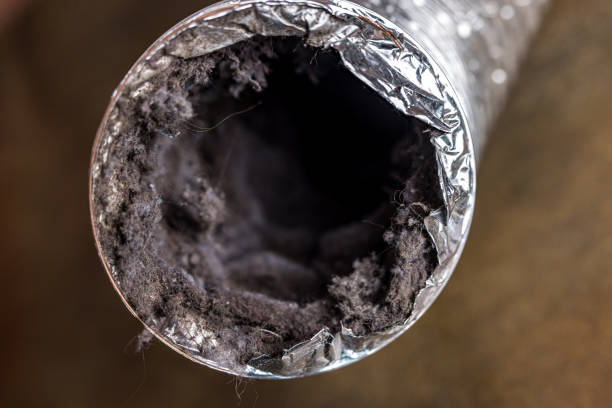 Best HVAC Maintenance and Cleaning  in Elm Creek, NE